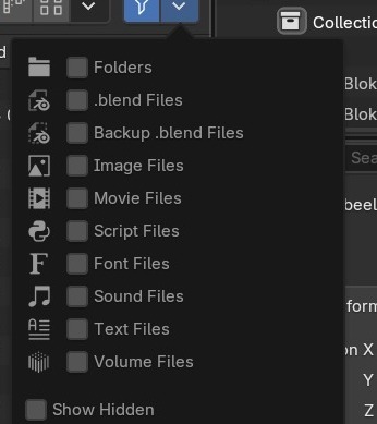 Het filterpaneel: per bestandstype een los vinkje (.blend, Image, Movie, Script, ...), plus Show Hidden onderaan.